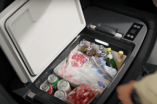 TeslaFridge wants to make Tesla trunks even 'cooler'
