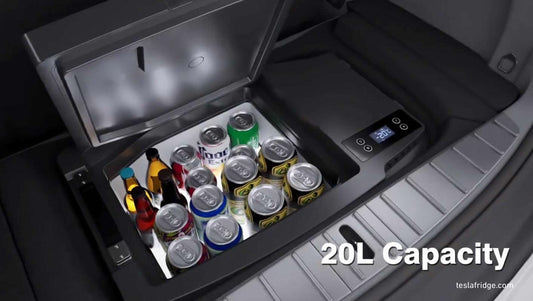 Tesla Model 3 Camping Setup, the Fridge.