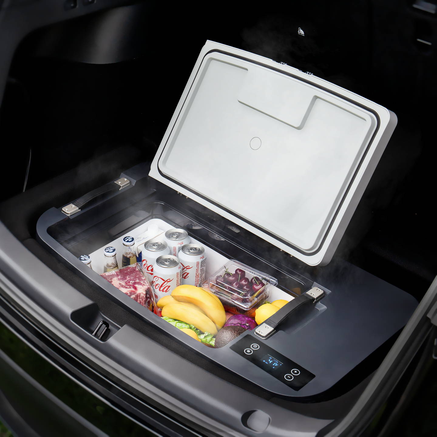 TeslaFridge Tesla Rear Trunk Refrigerator Compressor Refrigeration and ...