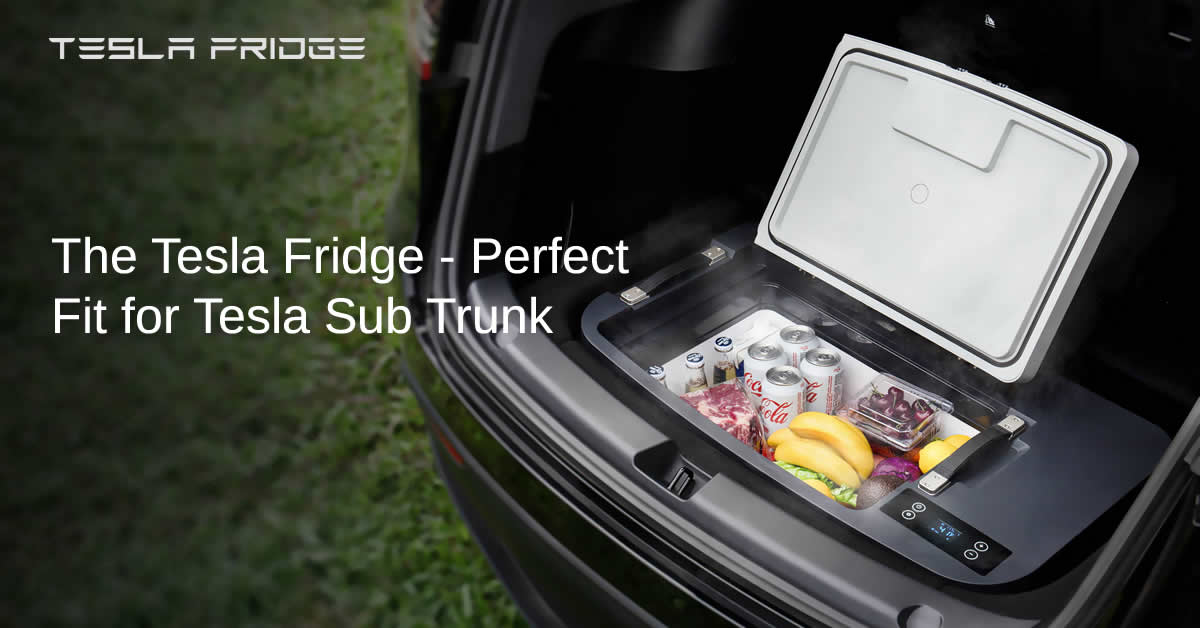 The Tesla Fridge World's First Portable Freezer for Tesla Sub Trunk